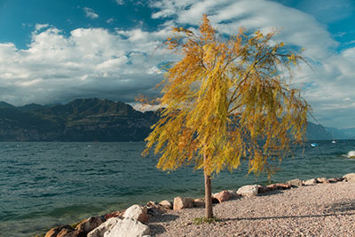 Gardasee 2025